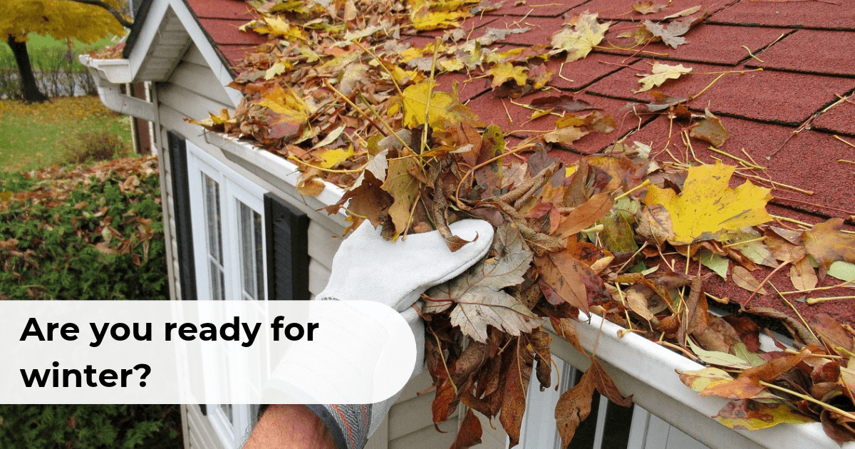 My Insurance Broker winter client newsletter